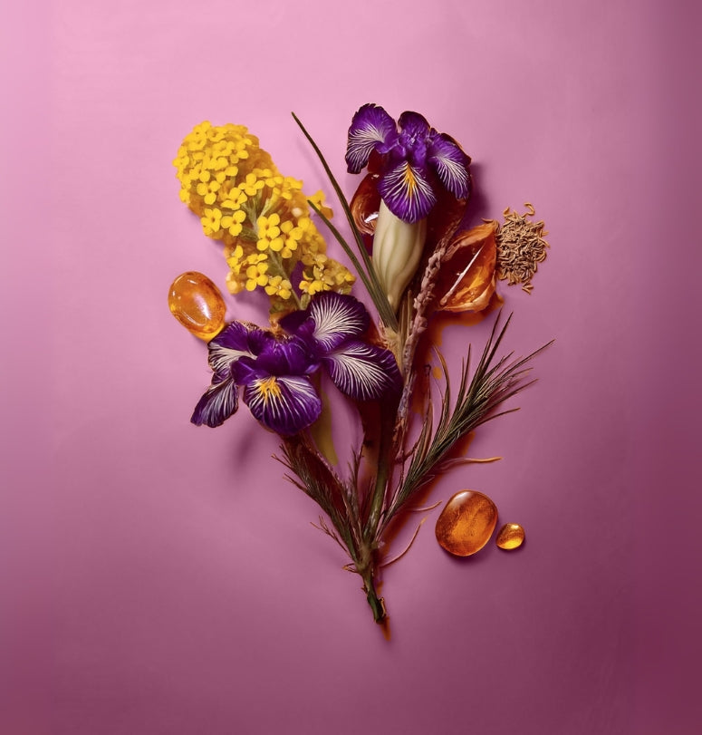 Arrangement of purple and yellow flowers with amber stones on a pink background Colorful display of natural ingredients used in HVNLY Velvet Blush luxury perfume