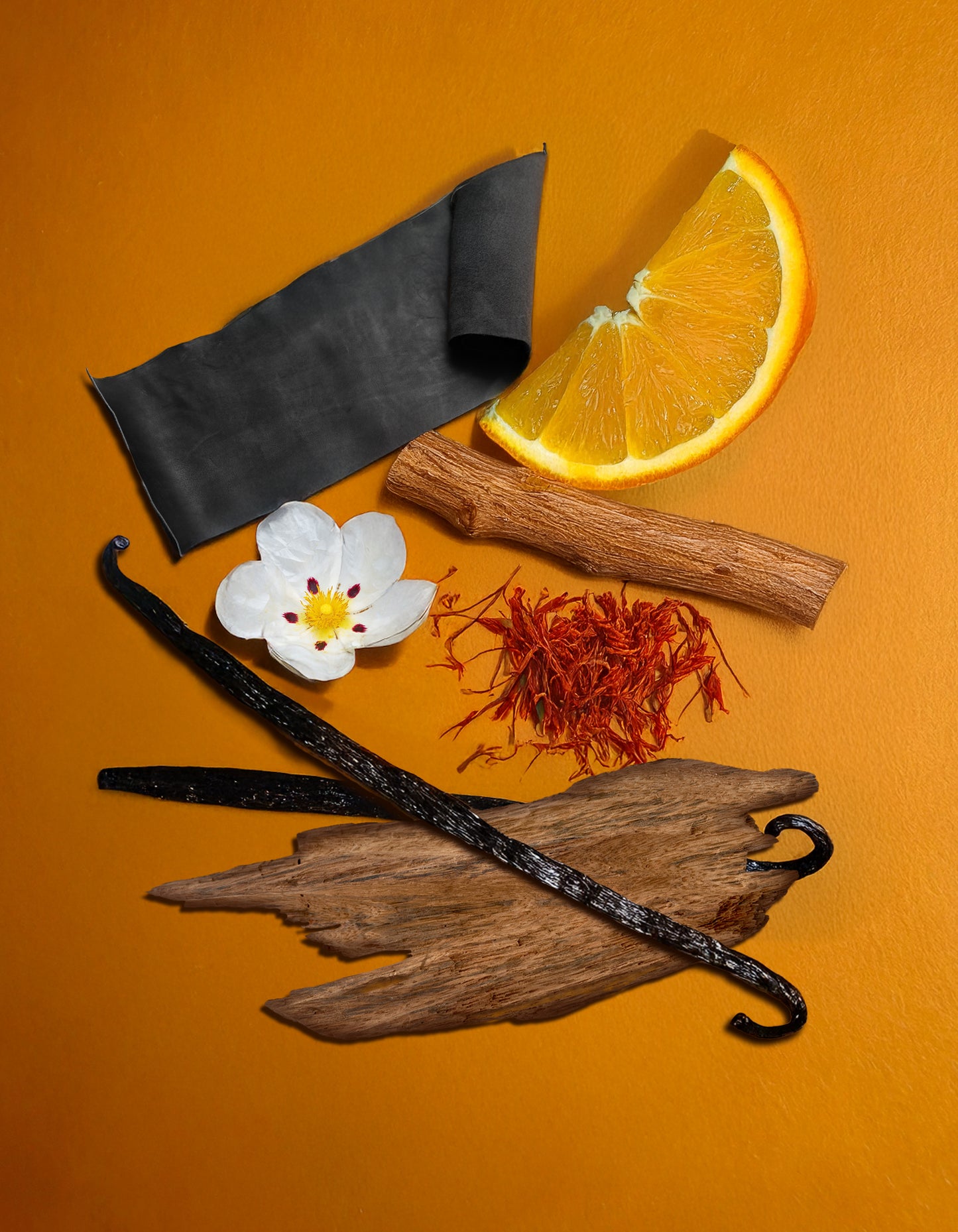 Spices, vanilla pod, an orange and leather in the form of a colorful display of natural ingredients used in HVNLY's Oudacious luxury perfume