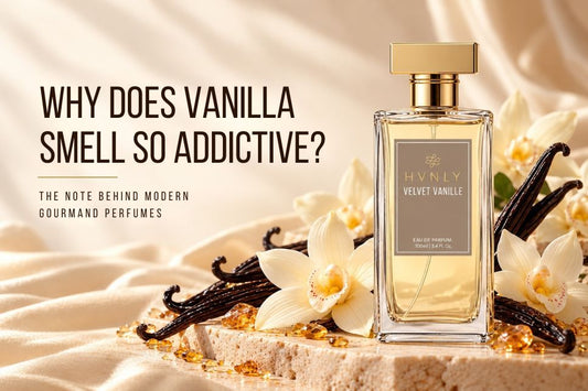 Why Does Vanilla Smell So Addictive?