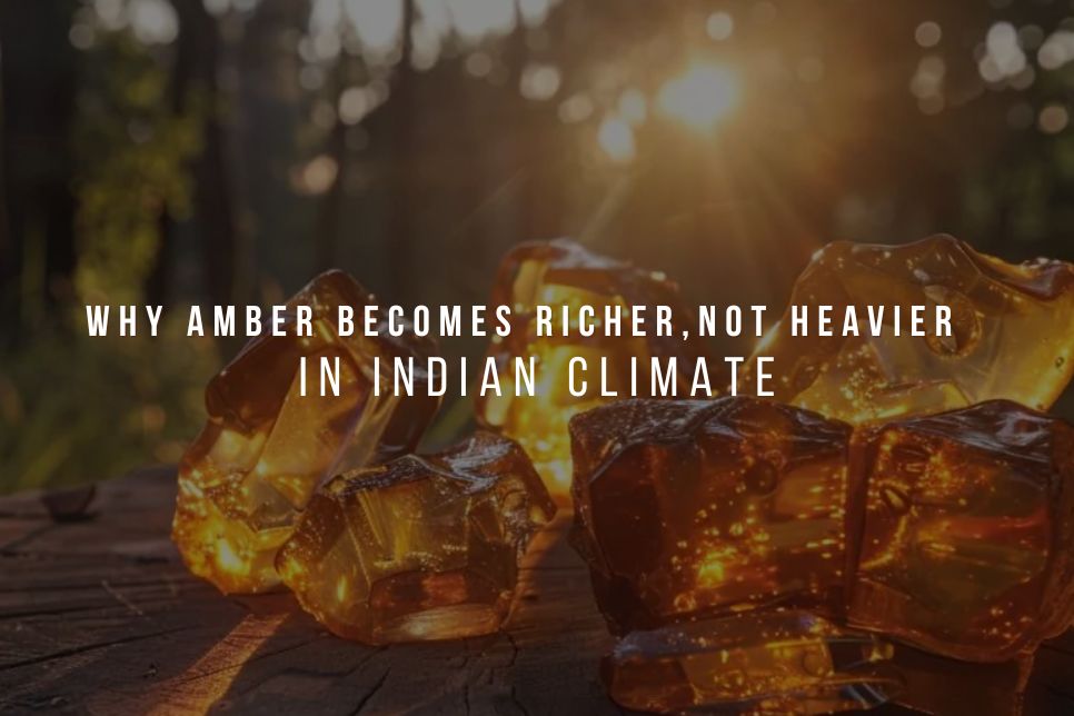Why Amber Becomes Richer, Not Heavier, in Indian Climate?