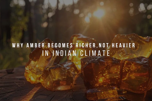 Why Amber Becomes Richer, Not Heavier, in Indian Climate?