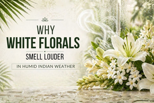 Why White Florals Smell Louder in Humid Indian Weather ?