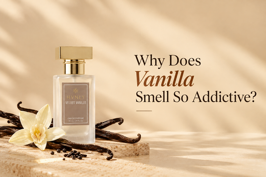 Why Does Vanilla Smell So Addictive?
