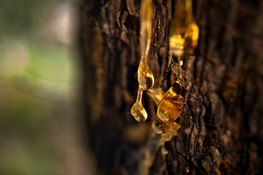 A TRANSLUCENT FOSSIL RESIN