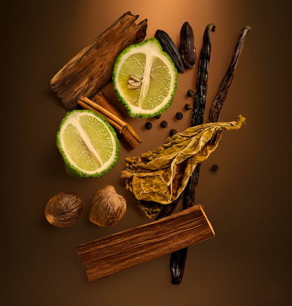 Smoke & Oud - Bold Spice & Sandalwood