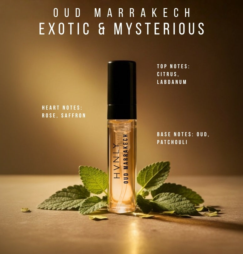 Complimentary - Discovery Set Luxury Male