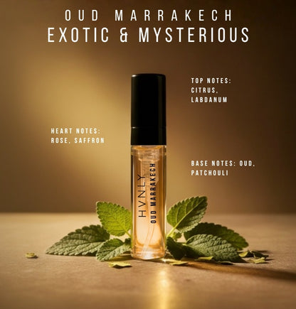 Complimentary - Discovery Set Luxury Male