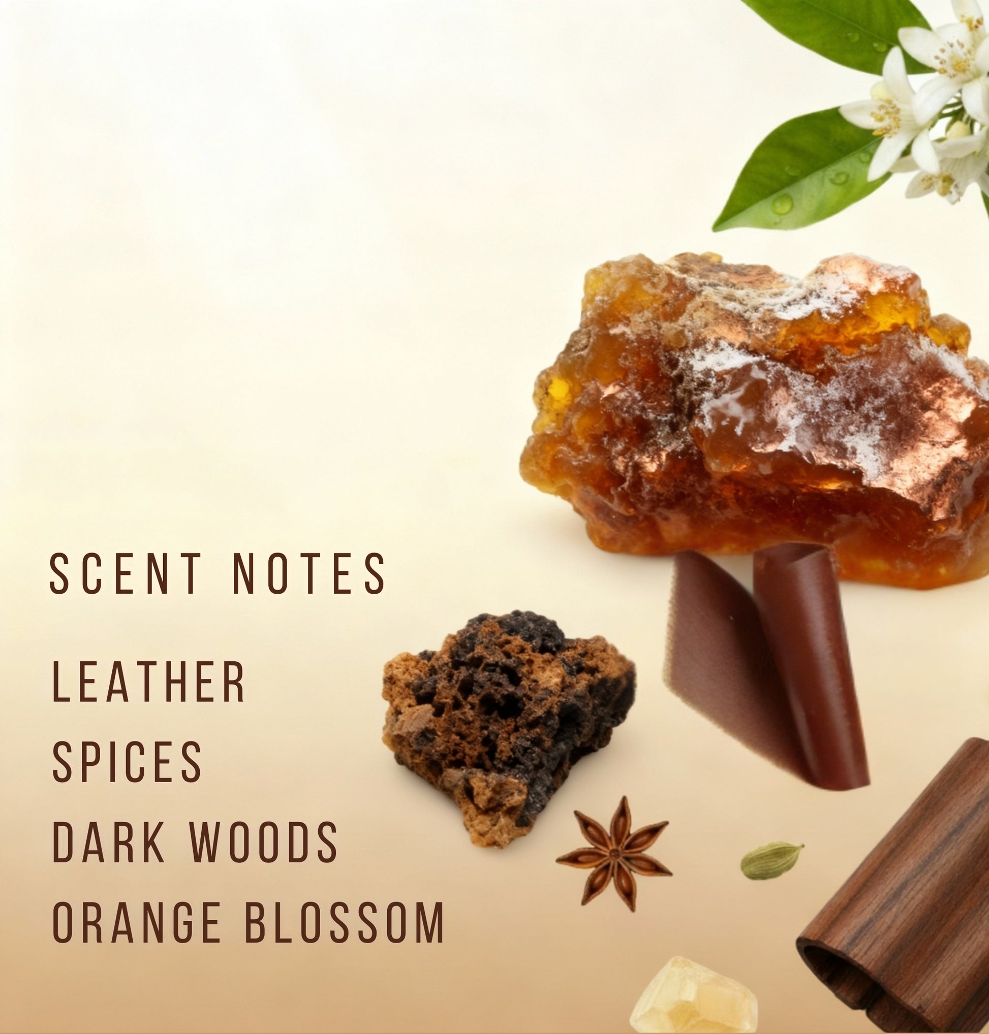 Scents with amber, chocolate, and spices on a beige background