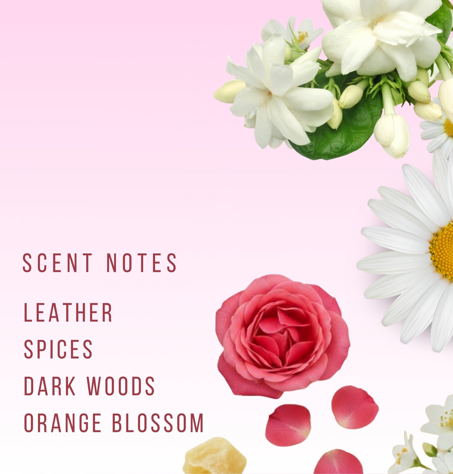 Blossom Eau De Parfum For Women