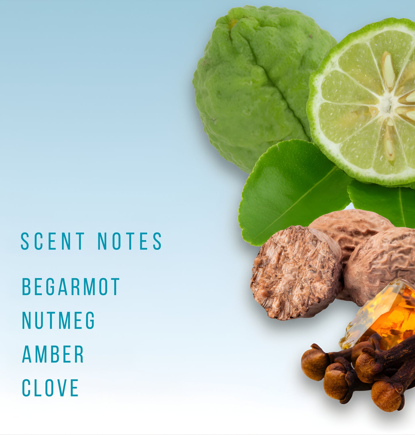 Charm Eau De Parfum For Men