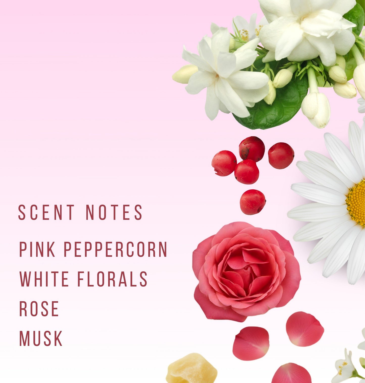 Blossom Eau De Parfum For Women