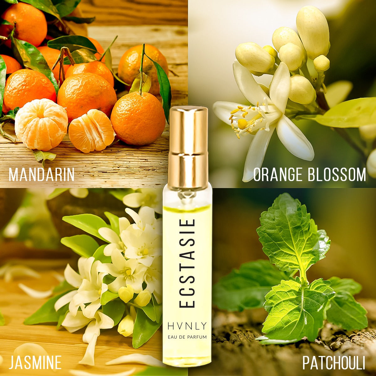 Ecstasie Perfume Ingredient