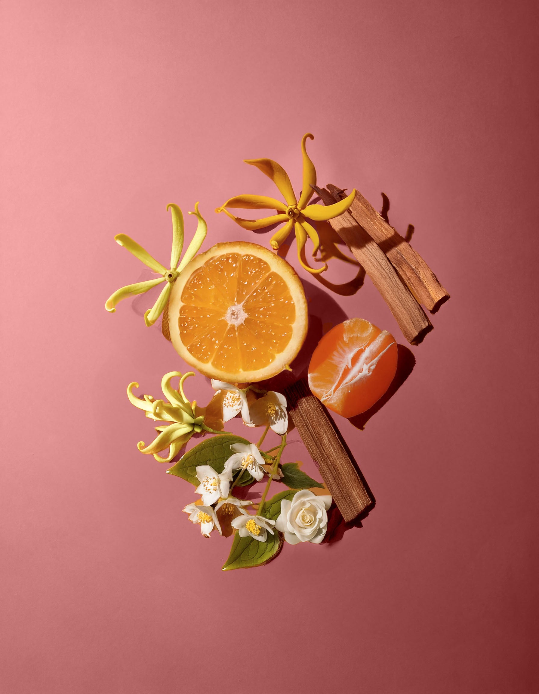 Colorful display of natural ingredients used in HVNLY Enchanted Garden luxury perfume.

