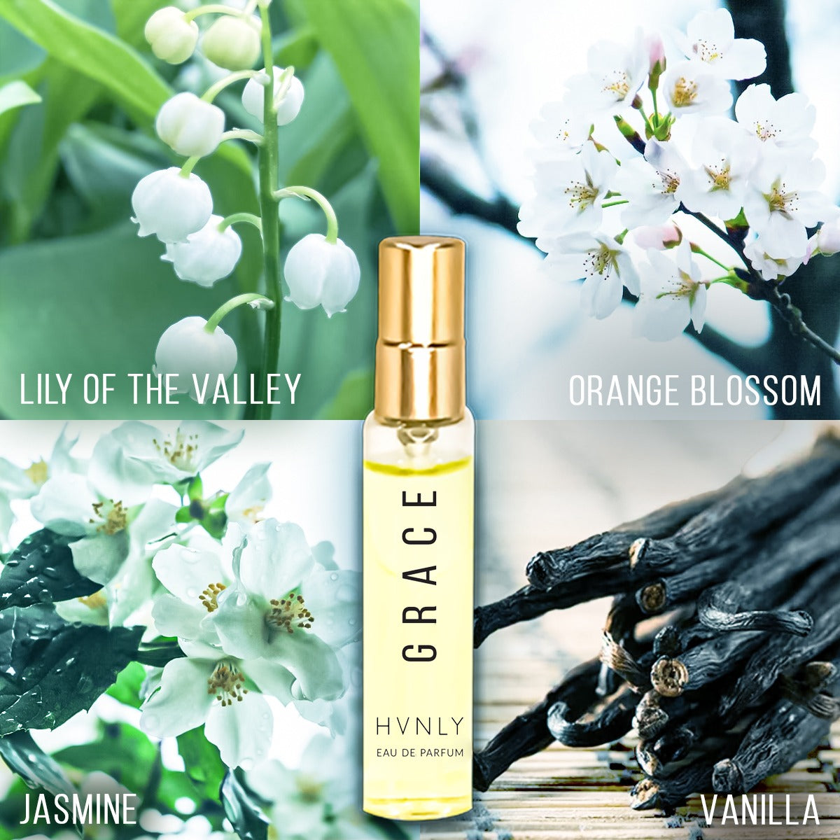 Grace Perfume Ingredient