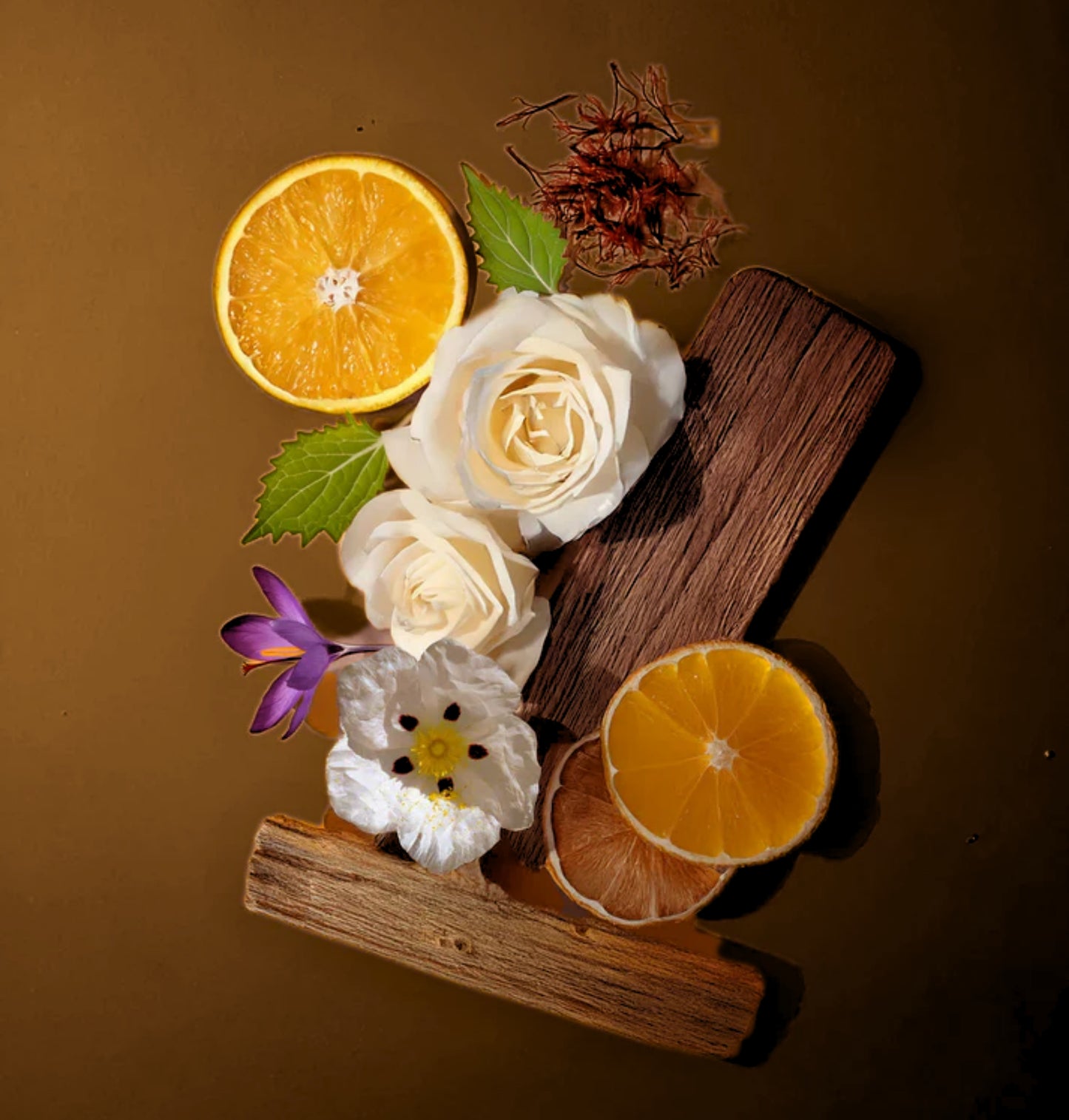 Oud Marrakech – Luxury On The Go