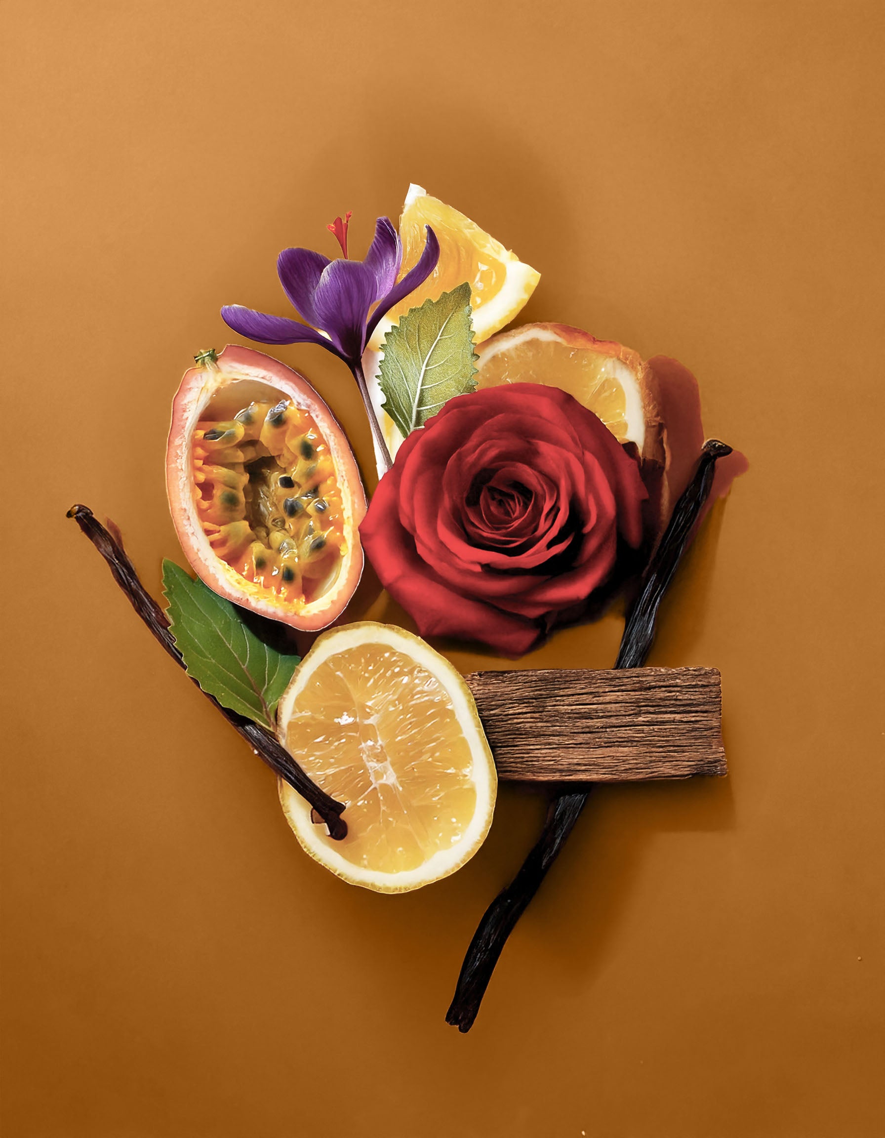 Colorful display of natural ingredients used in Hvnly's Oud of the Gods luxury perfume. Exotic passion fruit meets the deep allure of leather and saffron.