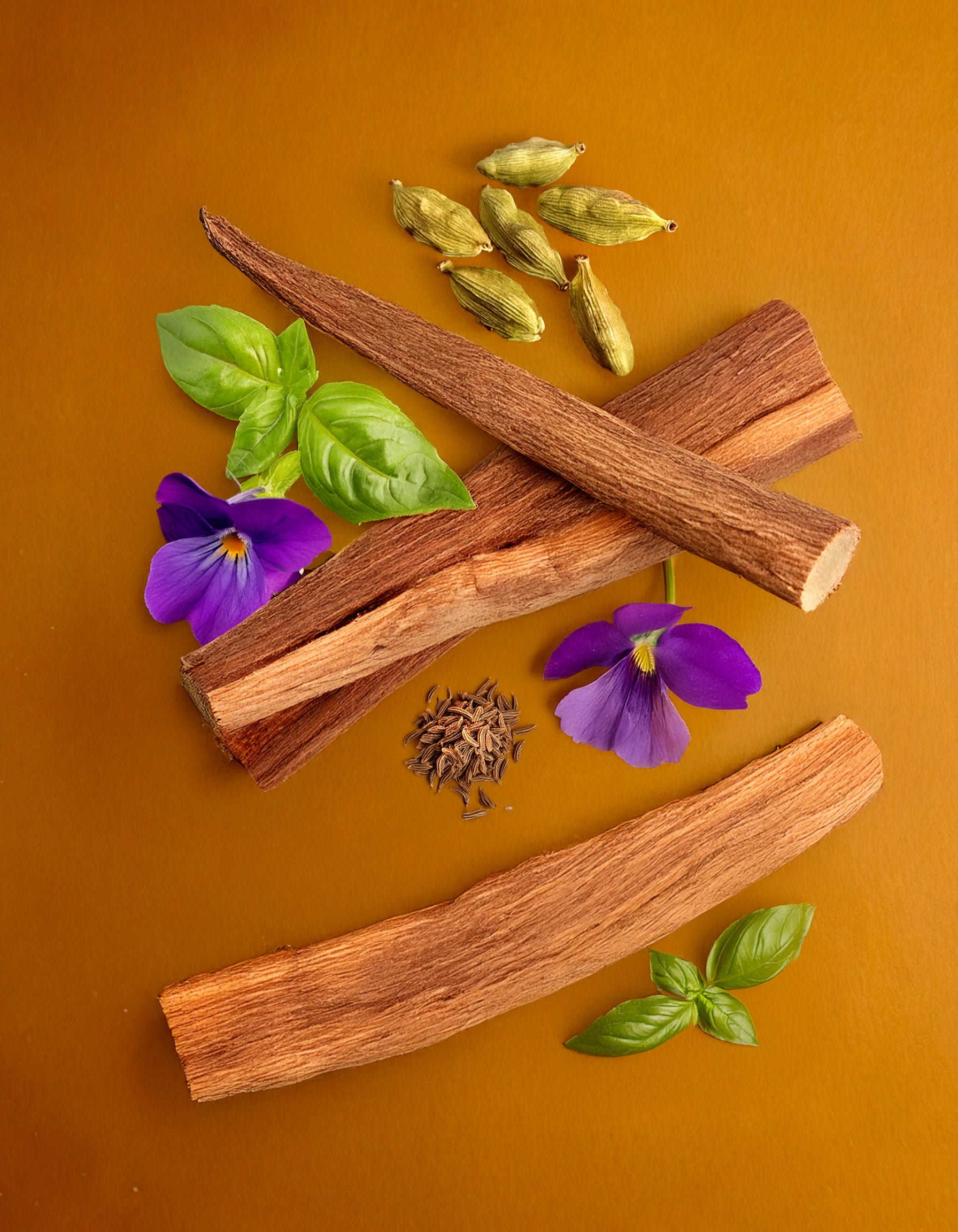 Cinnamon sticks with purple flowers and green leaves on an orange background. Colorful display of natural ingredients used in HVNLY's Santal Gold luxury perfume

