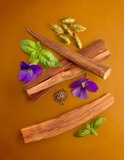 Cinnamon sticks with purple flowers and green leaves on an orange background. Colorful display of natural ingredients used in HVNLY's Santal Gold luxury perfume


