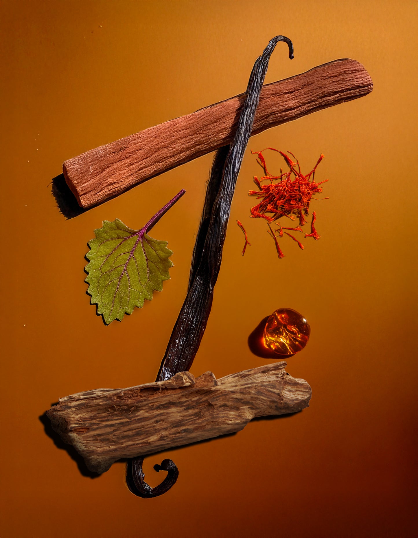 Spices including a cinnamon stick, vanilla bean, and other elements on an orange background. Colorful display of natural ingredients used in HVNLY's Vanille Oud luxury perfume

