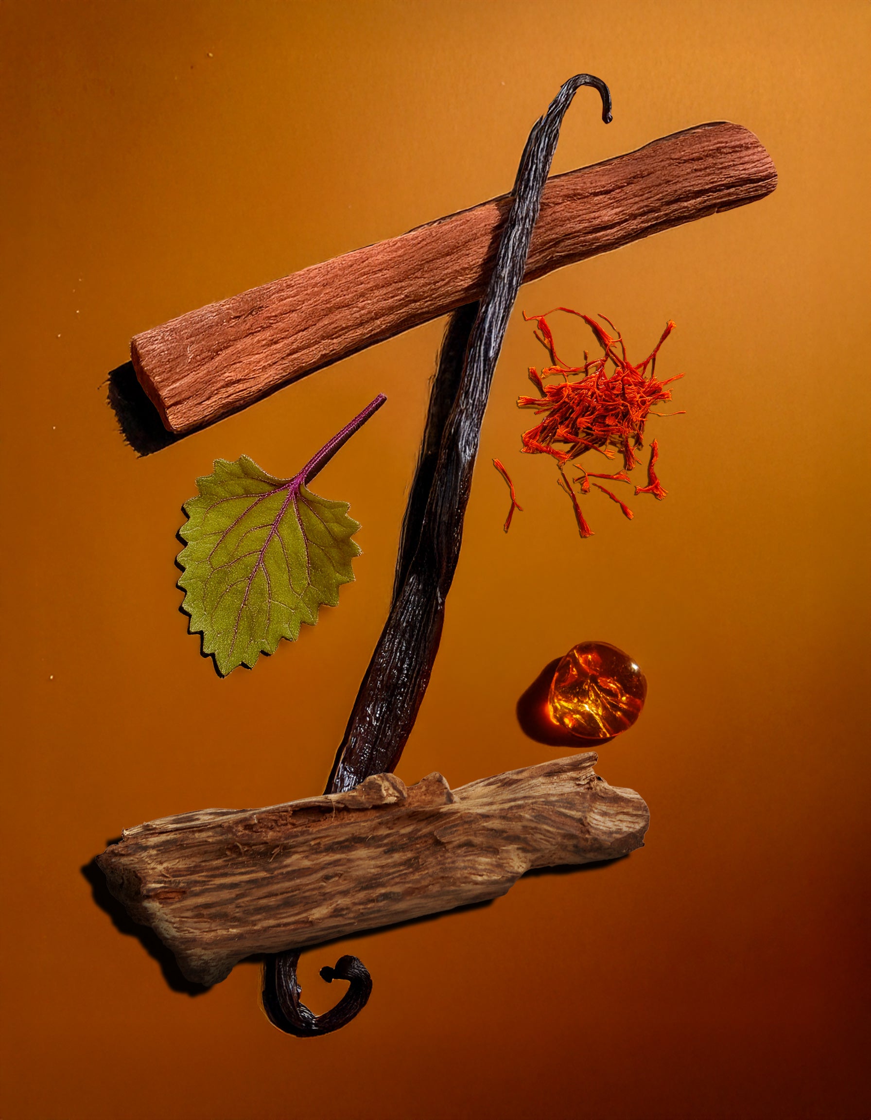 Spices including a cinnamon stick, vanilla bean, and other elements on an orange background. Colorful display of natural ingredients used in HVNLY's Vanille Oud luxury perfume

