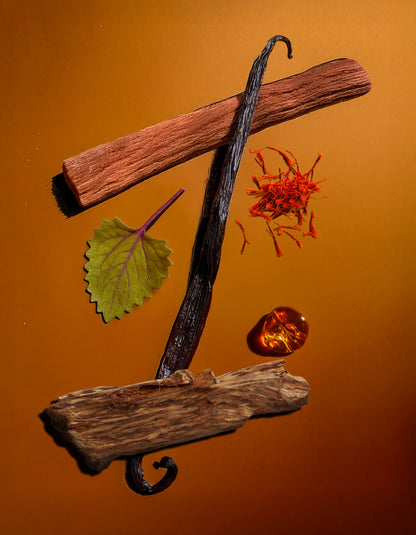 Spices including a cinnamon stick, vanilla bean, and other elements on an orange background. Colorful display of natural ingredients used in HVNLY's Vanille Oud luxury perfume

