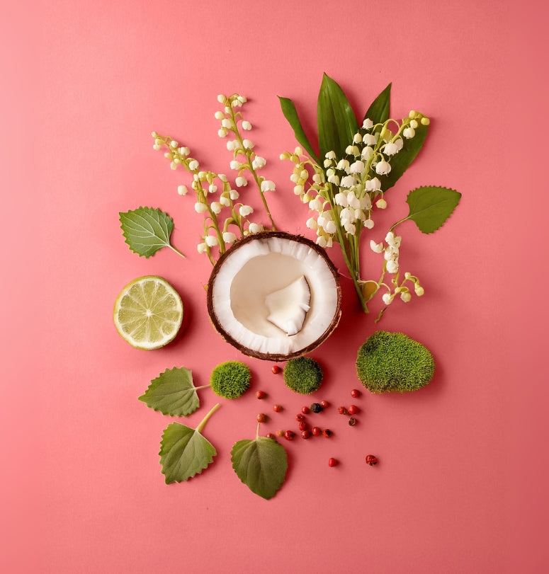 Coconut, lime, flowers, and leaves on a pink background. Colorful portrayal of the ingredients in whispers of Joy perfume by Hvnly.
