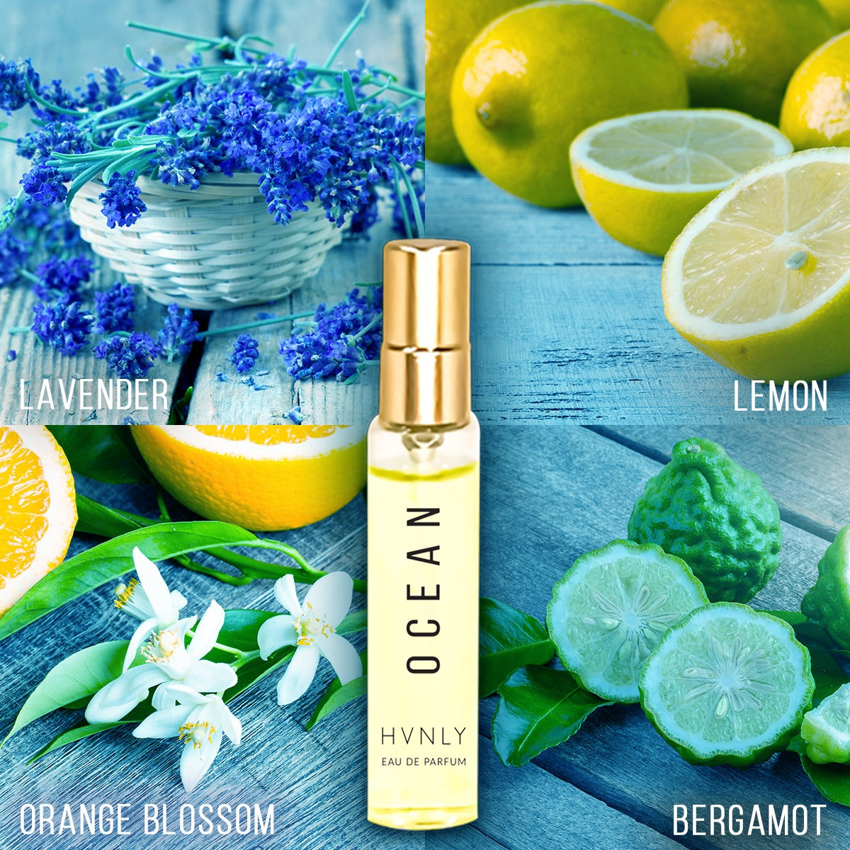 Ocean perfume ingredients 