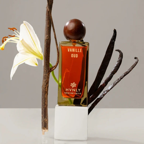 Sliding shot of Vanille Oud perfume showcasing the top, middle and base notes in a simplistic way in the next frame.
