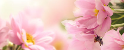 Enchanted Garden - Luxury On The Go