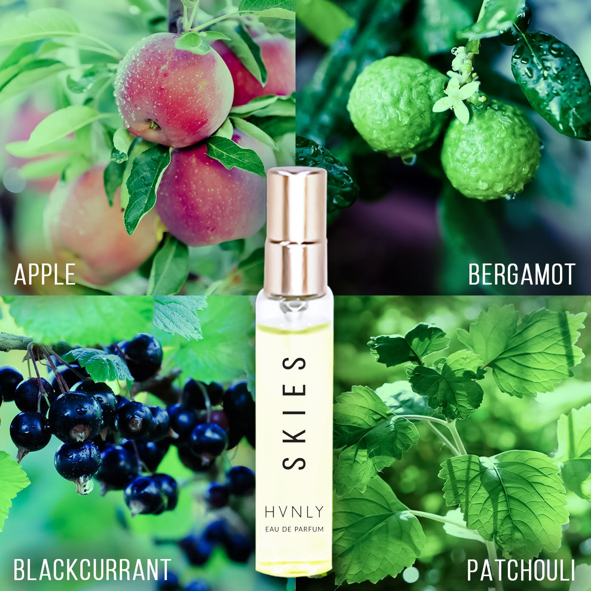 Skies Perfume Ingredient